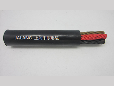 <strong><font color='38060B'>多芯拖令電纜</font></strong>
